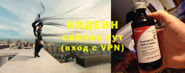 гидра Арсеньев