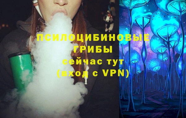 спиды Аркадак