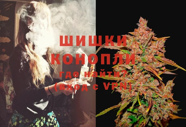 гидра Арсеньев
