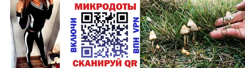 купить   Ясный  Псилоцибиновые грибы мухоморы 